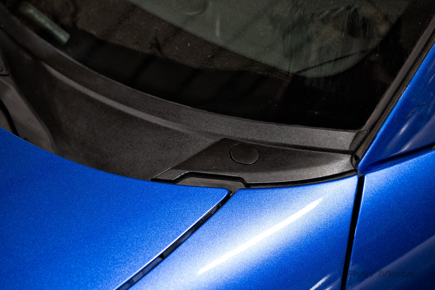 Cowl screw trim cap, 2006-13