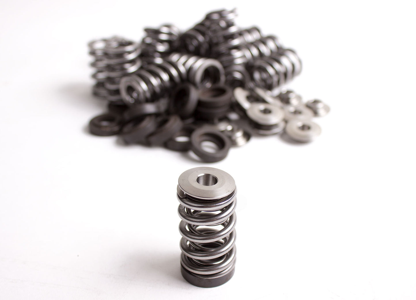 Dual valve spring kit