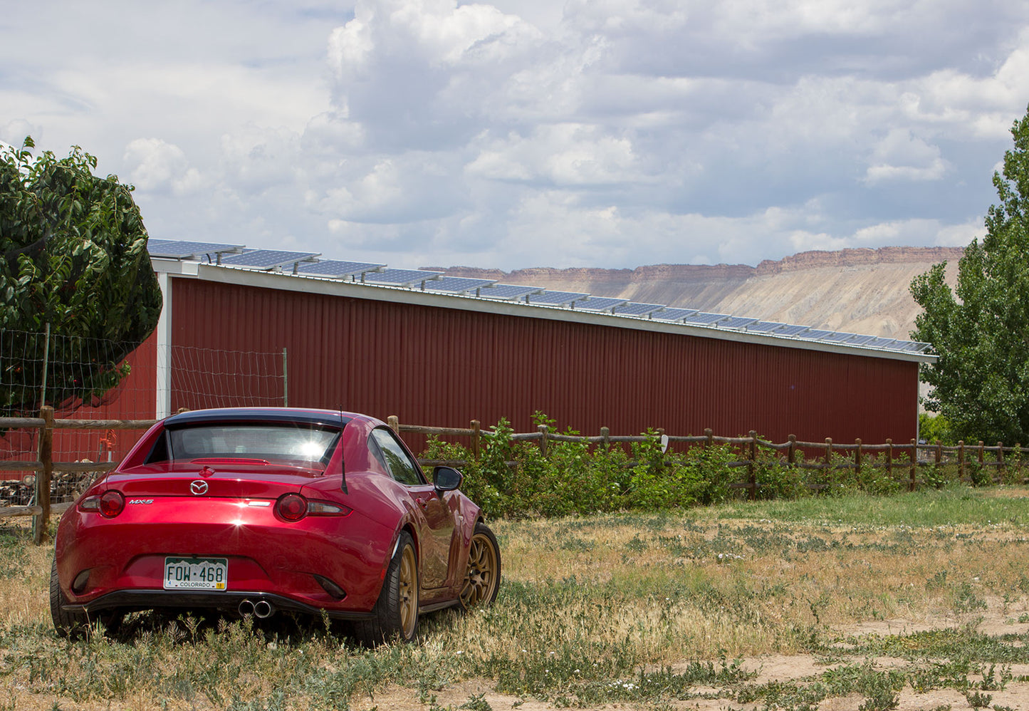 Flyin' Miata spring set (ND/Fiat chassis)